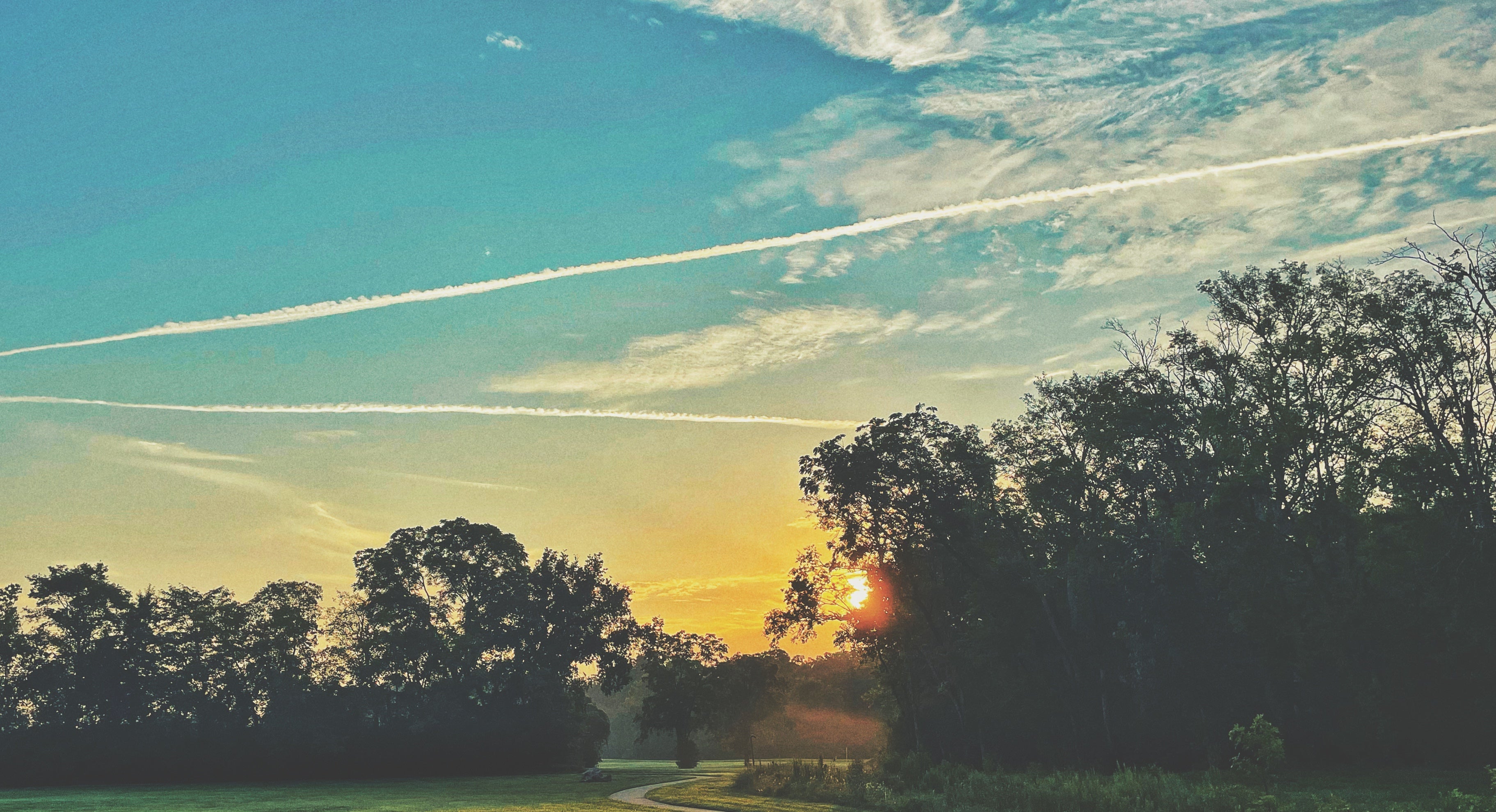 Sunrise Through Trees